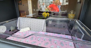 Bebek beşiği ve ABD itfaiye güvenli liman bebek kutusu safe haven baby box sistemi
