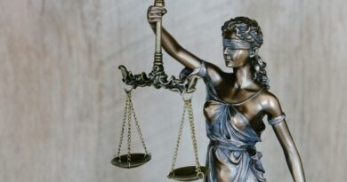 ABD Yüksek Mahkemesi: Vatandaşlık Sorgulama Sistemi Devrede | Amerika Haberleri