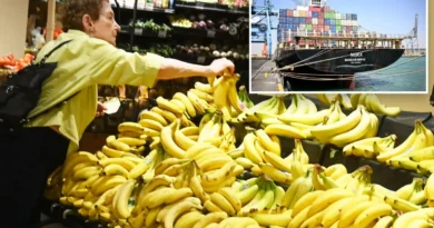ABD muz fiyatları ve süpermarket reyonları